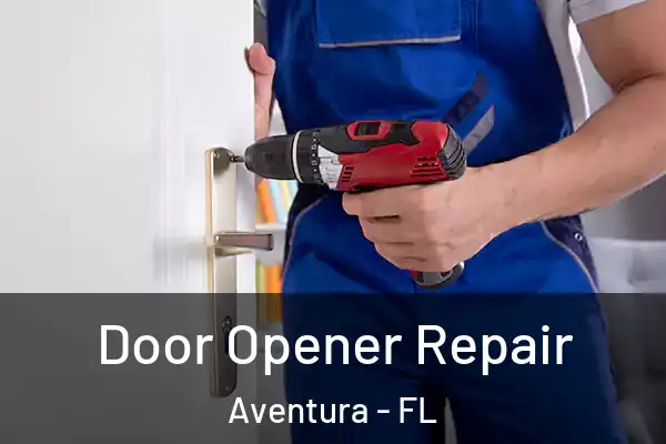  Door Opener Repair Aventura - FL