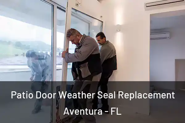  Patio Door Weather Seal Replacement Aventura - FL