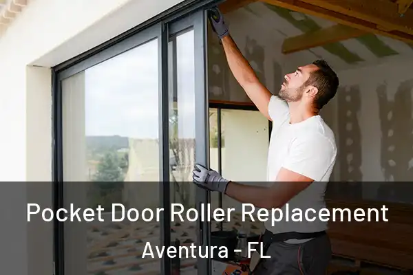  Pocket Door Roller Replacement Aventura - FL