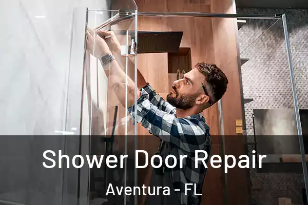 Shower Door Repair Aventura - FL