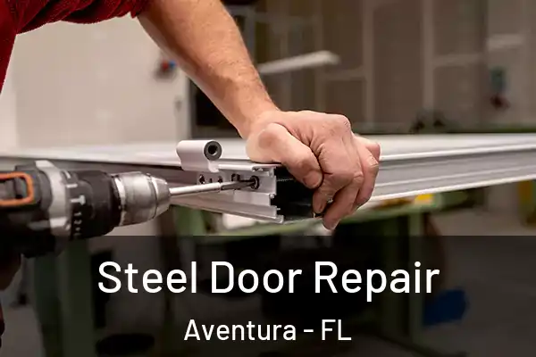 Steel Door Repair Aventura - FL